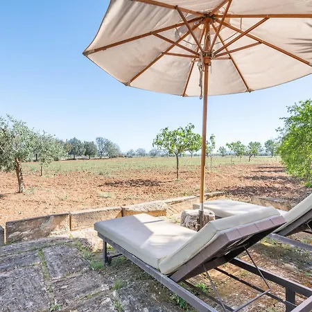 Es Lledoner 3 Villa Fenalitx (Fenalich)